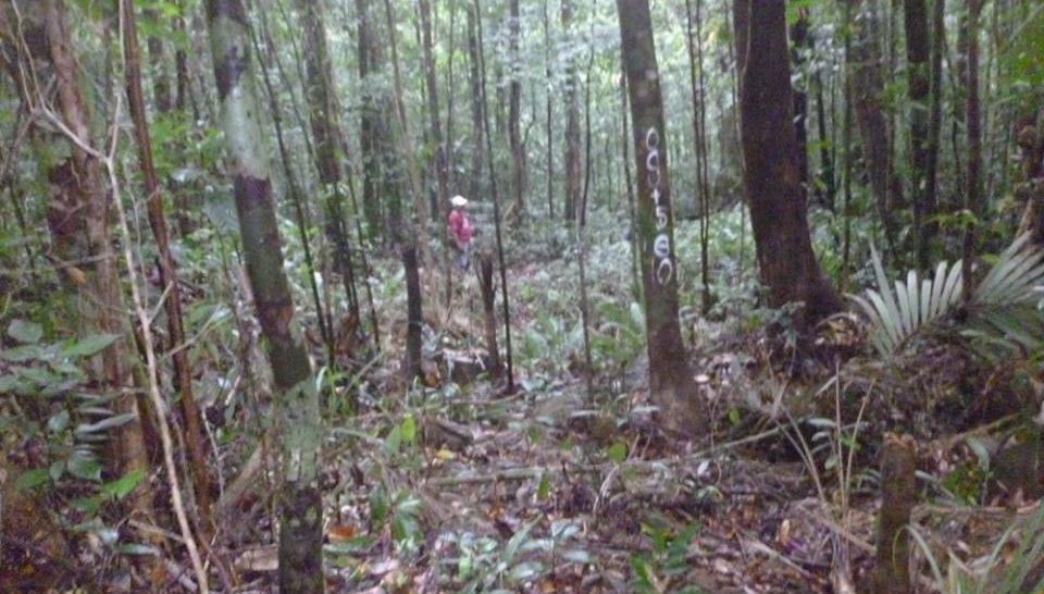 Courtesy: Elizabeth Ibañez/March 10, 2018