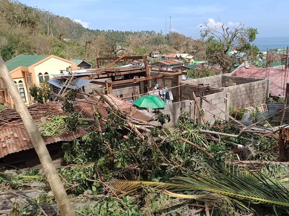 Photo Courtesy: ZBon Flores