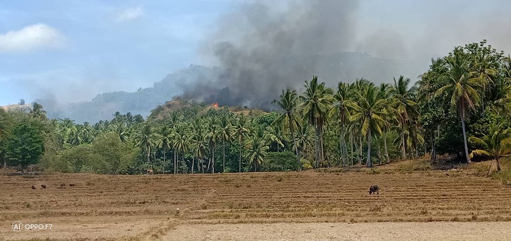 Photo Courtesy: Anjo Rey Fregon