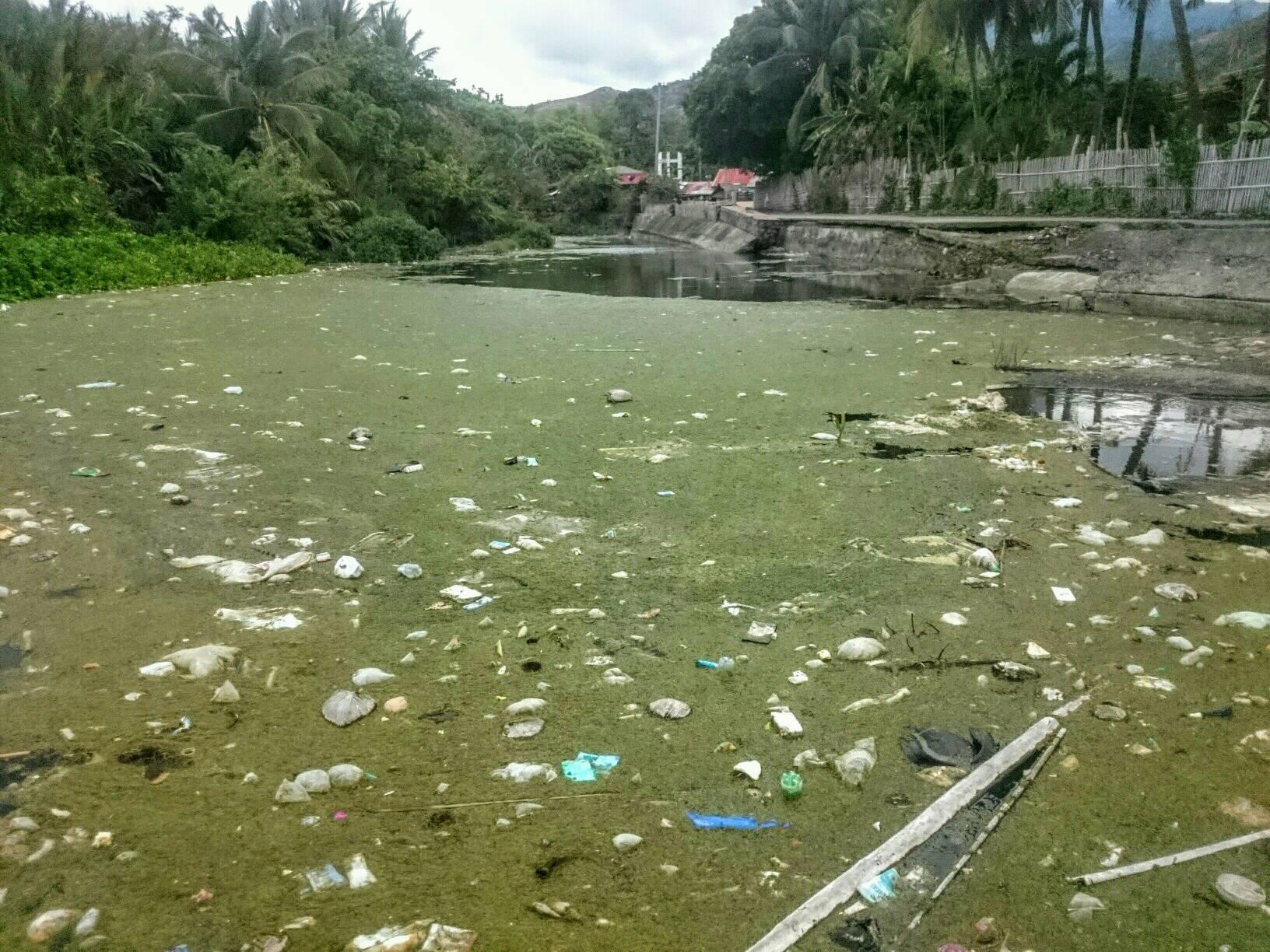 Photo Courtesy: Troy Arbis