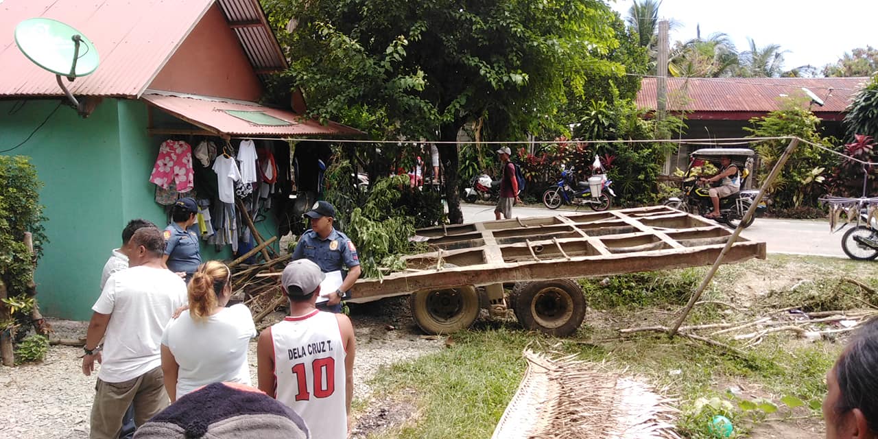 Photo Courtesy: Paeng Ramilo Cortes Jr.