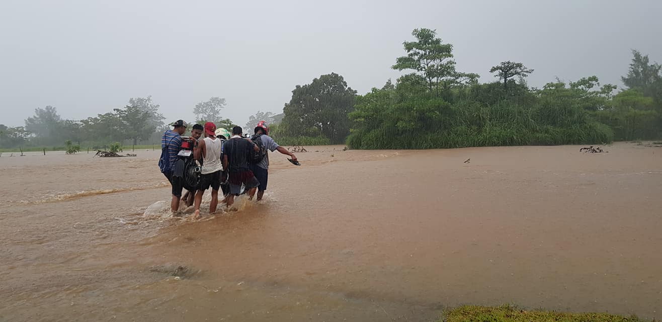 Courtesy: Elleonor Royo