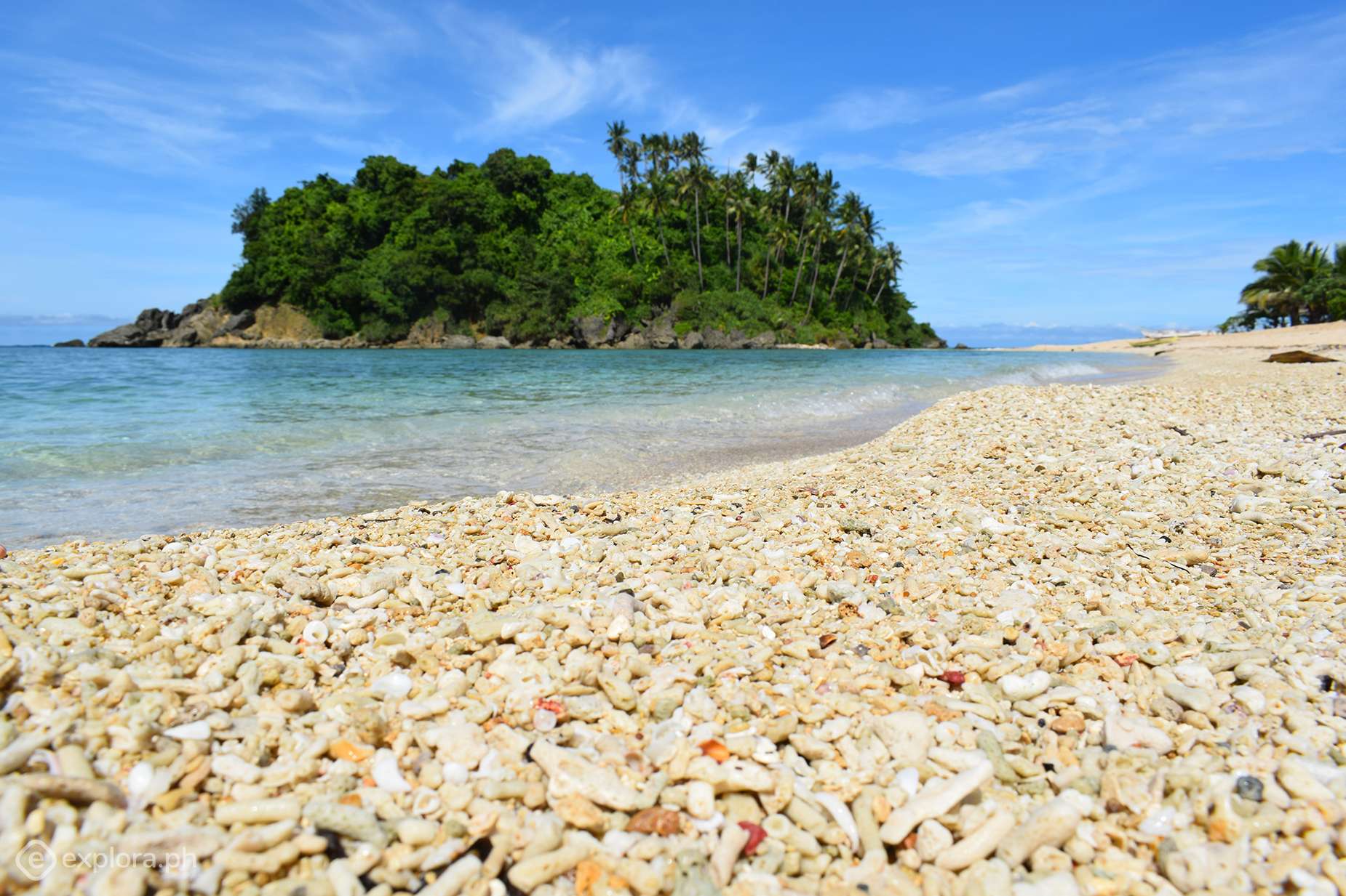 Photo Courtesy: Explora