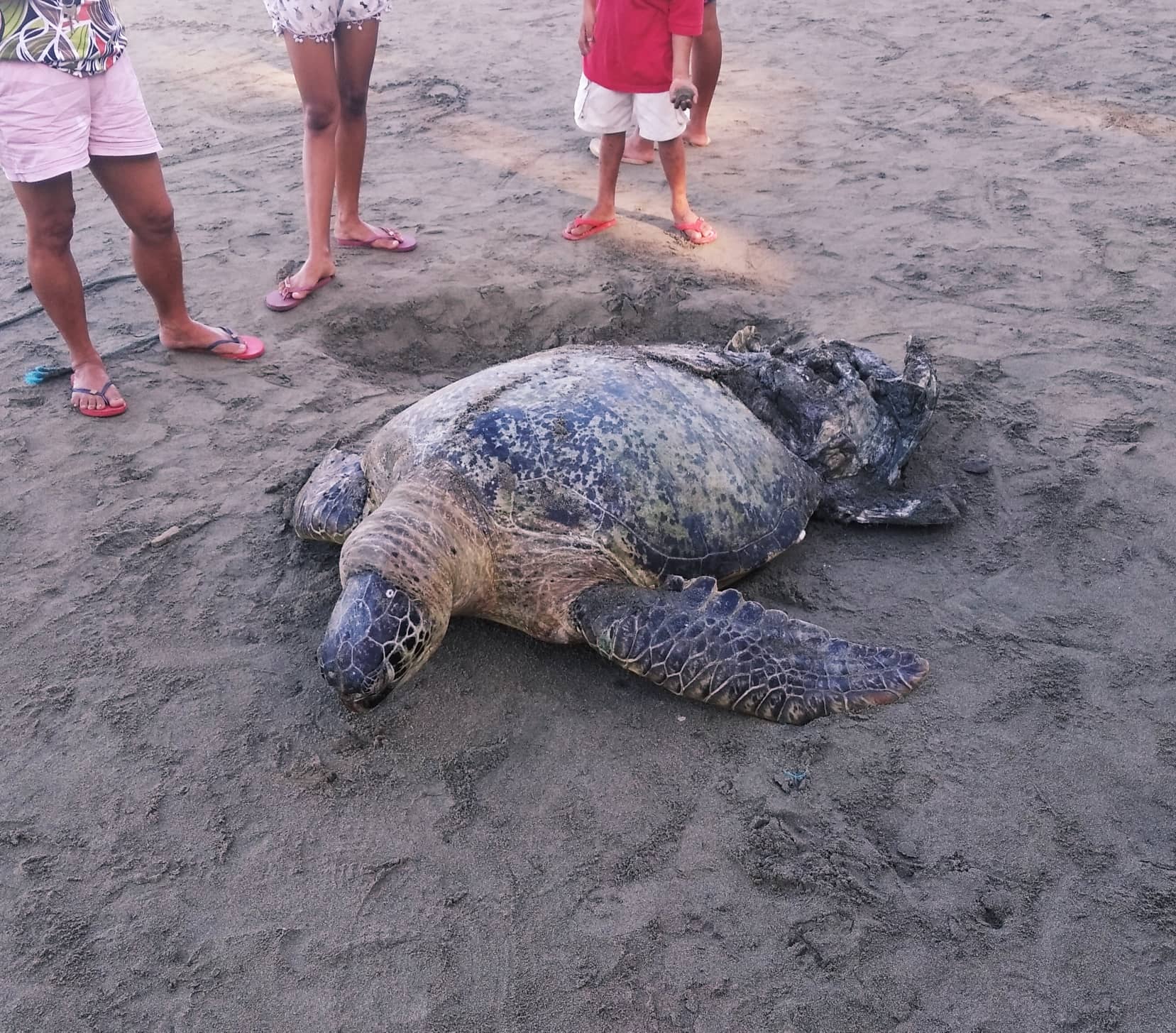 Photo Courtesy: Gary Mayuga