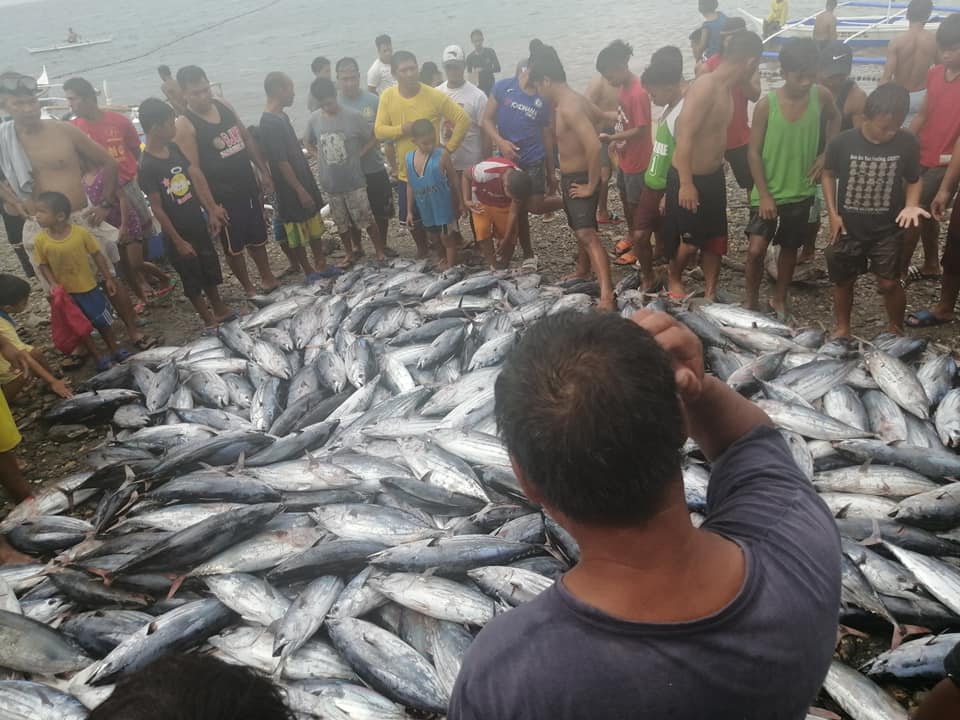 Courtesy: Tessa Ann Maaba Falguera