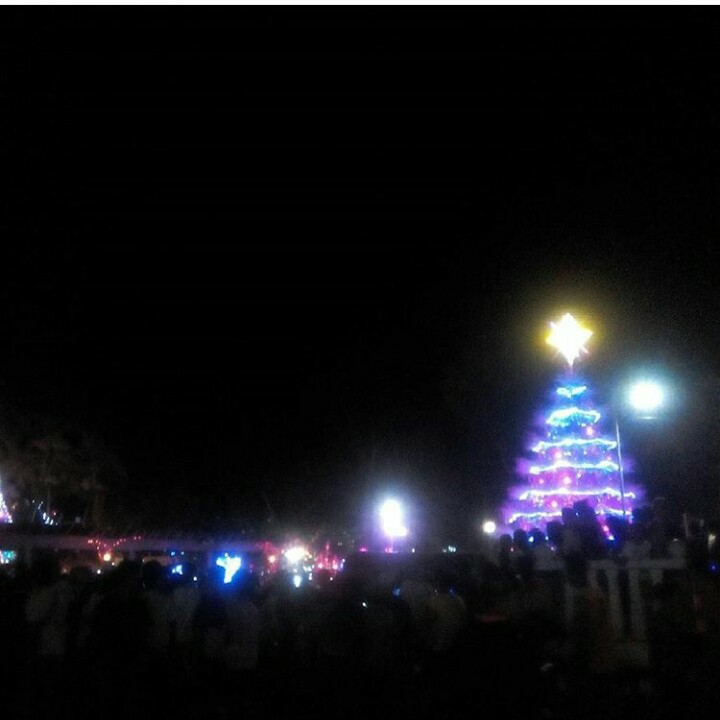 Photo Courtesy: Instagram/Donna Fornea