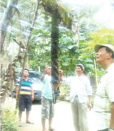 Photo by Emmanuel Eranes.