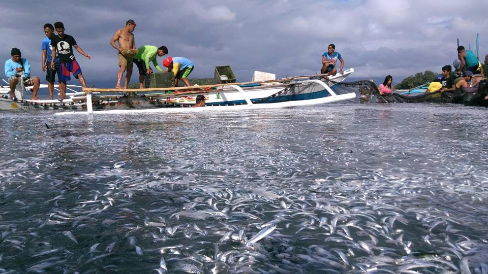 Photo Courtesy of Arnold Fetalvero, RNN