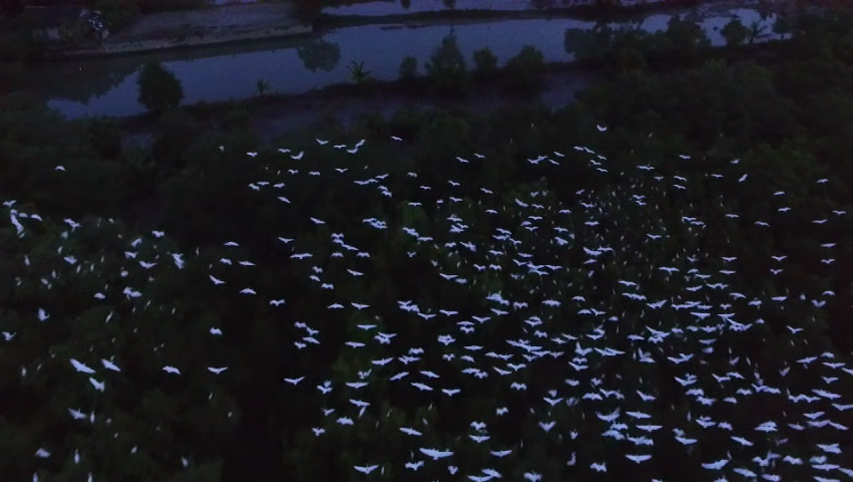 Photo Courtesy of Aly Khan Fernandez Jr.