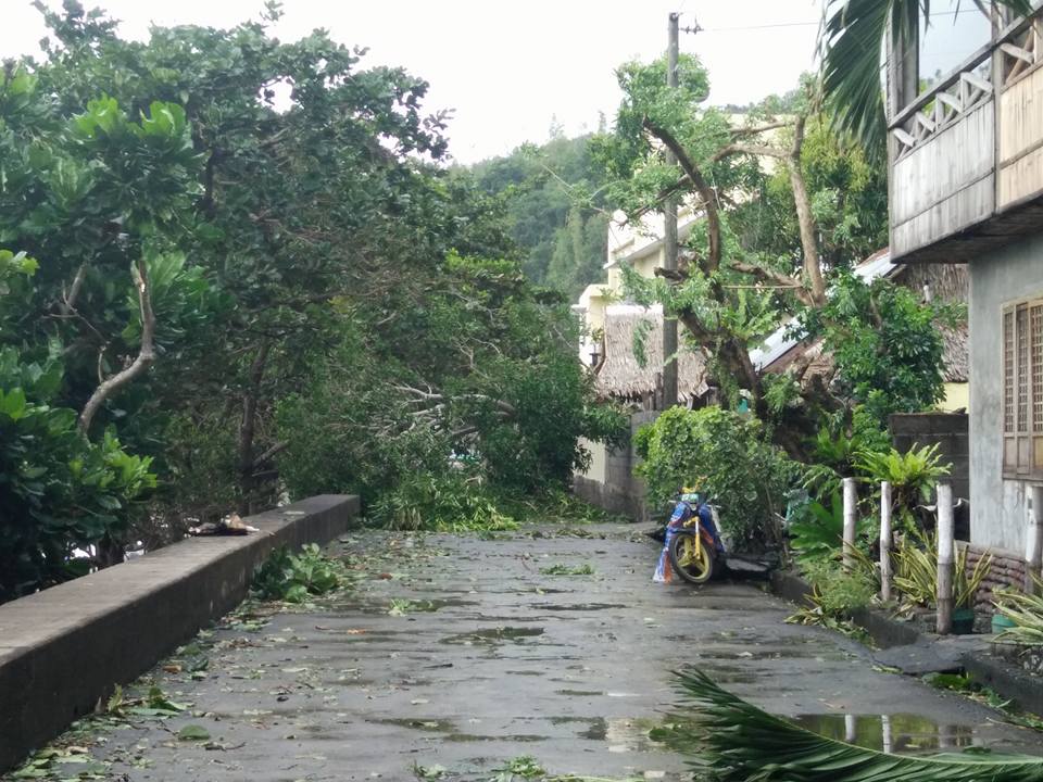 Images Courtesy of Christine Kay Famisan.