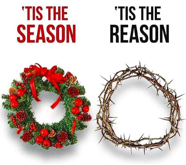 Image credited to the owner